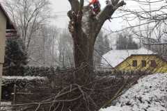 IMG-20211121-WA0011