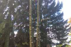 IMG-20211121-WA0013