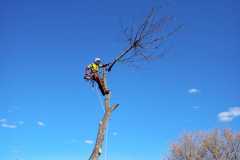 IMG-20211121-WA0014