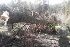 IMG-20211121-WA0016