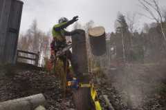 IMG-20211121-WA0019